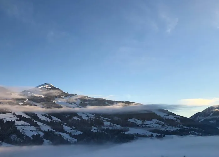 Artihome Casa de Férias